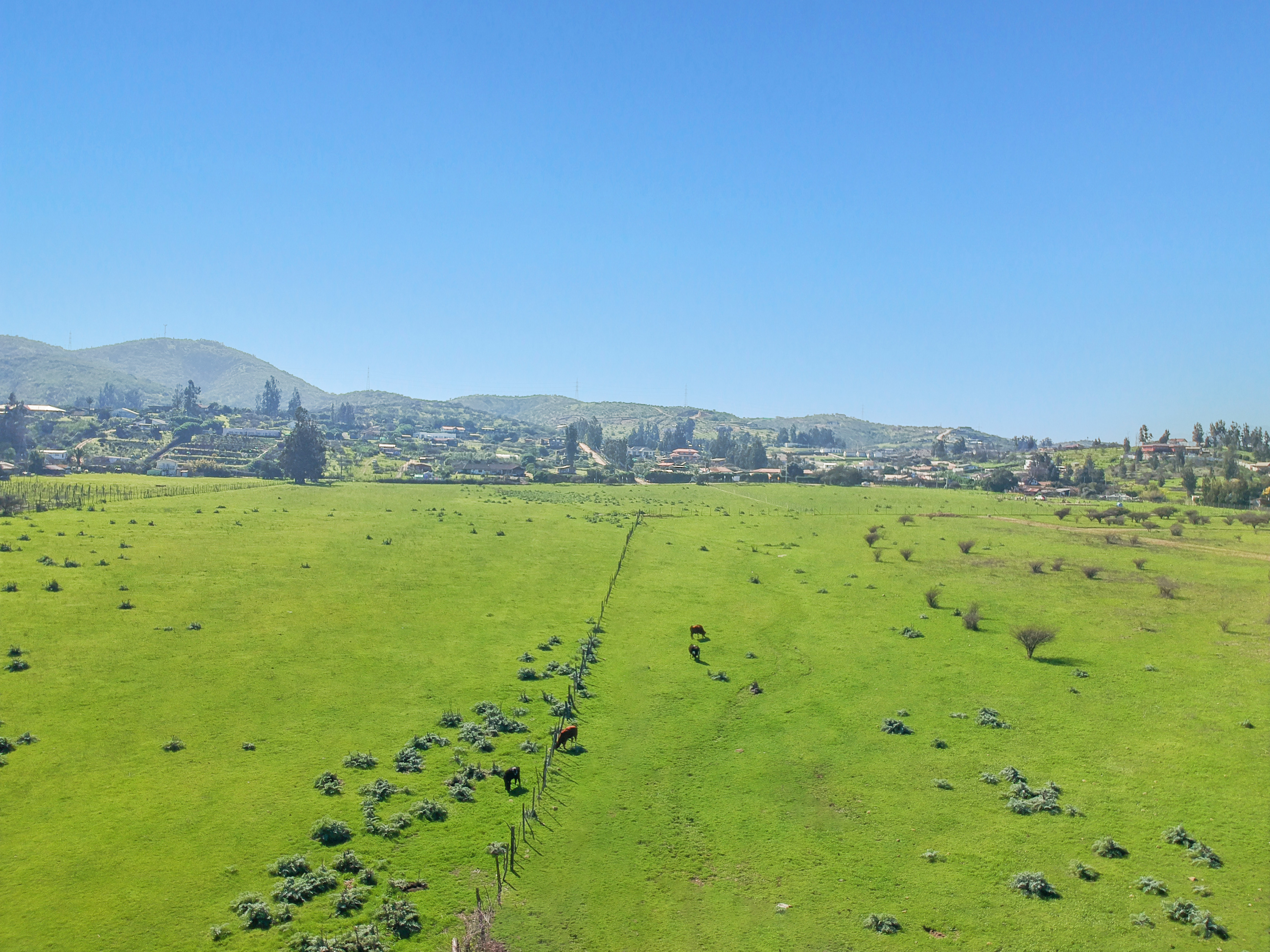 Portada Piedra Amarilla